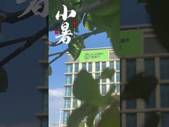 الموردين الصينيين من فرن التخمير الفراغ